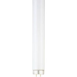 Fluorescent Light Bulb, Cool White, 20-Watts, 24-In.