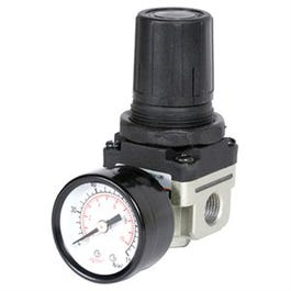 Mini Airline Regulator With Gauge, 1/4-In. FNPT