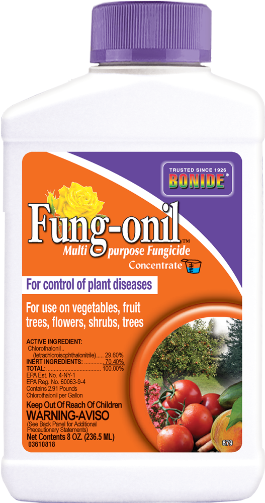 Bonide Fung-onil® Conc