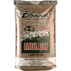 Florida Cocoa Shell